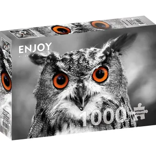 1000 Pieces Jigsaw Puzzle for Adults – Matte Finish, Soft Touch, Sturdy and Unique Pieces, Tight Fit, Vivid Colors, Missing Pieces Service – Curious Black and White Owl Portrait – by ENJOY Puzzle
