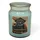fragrance and style gmbh Cashmere Breeze Duftkerze 510 g grün