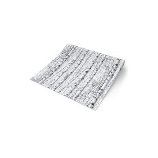 Papiertapete Birkenwald weiß schwarz B/L: ca. 53x1005 cm - weiß, schwarz