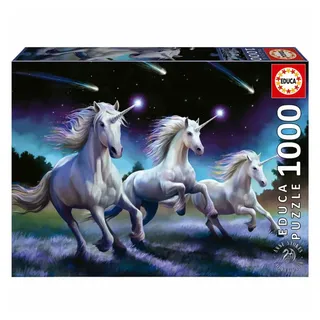 Educa 1000 Sternschnuppen, Anne Stokes