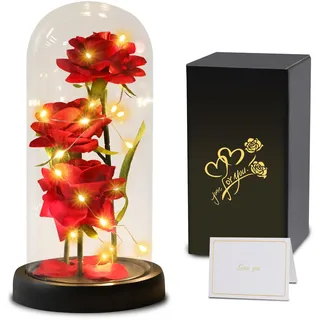 Touloube Geschenke für Frauen Geschenk, Die Schöne und das Biest Rose Blume Geschenk, Ewige Rose im Glas, Infinity Rosen Geschenke für Mama Mutter Großmutter Oma Frauen Freundin