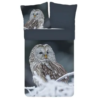 ESPiCO Kinderbettwäsche Bennie Eule Trendy Bedding, Renforcé, 2 teilig, Tiermotiv, Landschaft, Eis bunt|grau