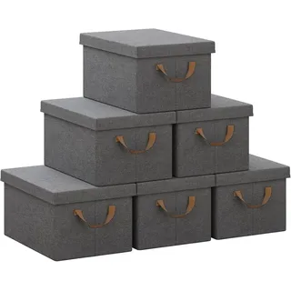 Woltu 6er Set Aufbewahrungsboxen mit Deckel, mit Griffen, faltbar, Grau 20L(38x27x20 cm