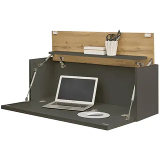 furn.design Sekretär Grau, Eiche Wotan 100 cm, Wandschrank mit klappbarem Oberboden | Gr.: onesize