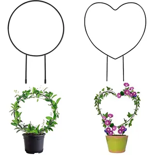 Rankhilfe Zimmerpflanzen Rankgitter Metall, 2 Stück Garten Pflanzenhalter,Garten Pflanzenstütze,Herz/Runde Form für Kletterblume Gemüse Rose Rattan