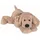 Schlenkerhund