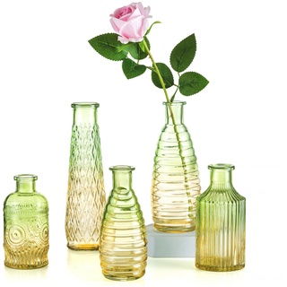 Kleine Vasen Set Bunte Glasvase: Hewory 5er Kleine Vasen für Tischdeko, Grün Vase Glas Glasflaschen Vintage Blumenvase, Verschiedene Groessen Vasen Deko Mini Vasen für Deko Wohnzimmer Room Decor