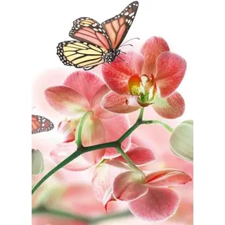 Famanu Vlies Fototapete Orchideen und Schmetterlinge - 150x250 cm