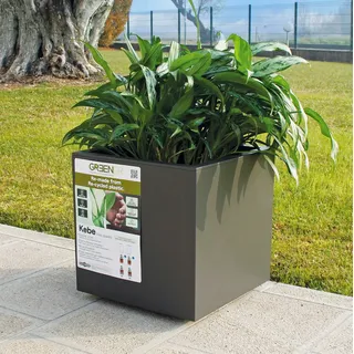 Pflanzkasten mit Wasserspeicher Rollen Ökologisch nachhaltig Blumenkasten 40 cm