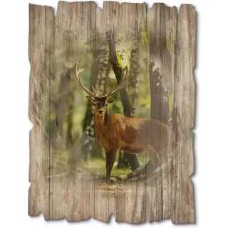 ARTland Artland, Hirsch 4 - Wald T5YP (30 x 40 cm)