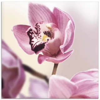 ARTland Wanddeko Glasbilder Wandbild Glas Bild einteilig Quadratisch Natur Asien Blumen Blüten Orchideen Landhaus T5EI