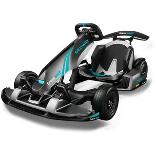 Segway Gokart PRO 2 schwarz (NINEBOT)