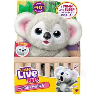 Little Live Pets Mein Baby Koala 26 cm Mehrfarbig