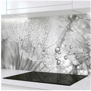 Rodnik Küchenrückwand Pusteblumen, monolithische ABS-Platte mit Direktdruck, formstabil und langlebig grau 300 cm x 60 cm