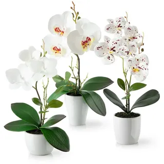Pasch Kunstorchidee 3er Set künstliche Orchideen wie echt (35cm) in Hochglanz-Keramiktopf Orchidee, PASCH