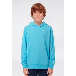 Champion Hoodie Blue 164