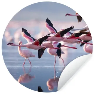 MuchoWow Wandsticker Flamingo - Vogel - Wasser - Rosa (1 St), Selbstklebende Runde Vliestapete, Wohnzimmer, 140x140 cm bunt 140 cm x 140 cm x 0.1 cm