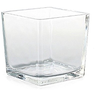 N/A Glas Würfel 10cm klar eckig Pflanzgefäß Pflanztopf Topf Vierkantgefäß Blumentopf