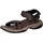 teak 45,5