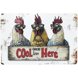 Blechschild Mit Hühnern, Vintage Plakette Poster Wand Kunst Dekor, Lustige Schilder Mit Sprüchen “Cool Chicks Live Here”, Outdoor Wand-Schild Dekoration, 20x30cm