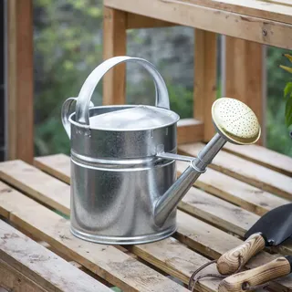 CKB LTD Gießkanne für den Außenbereich, Metall, verzinkter Stahl mit Messingrose, für große kleine Gärten, Blumen und Pflanzen, robust, rostfrei, 5 l
