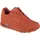 Orange 38,5
