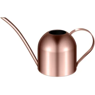 1 Stück Edelstahl Gießkanne für Zimmerpflanzen Oder Hauspflanzen Langen Auslauf Garten Gießkanne 1000ml Kleine Garten bewässerungstopf (Kupfer)