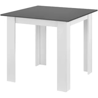 [en.casa] Algermissen 80 x 76 x 80 cm Dunkelgrau/Weiß