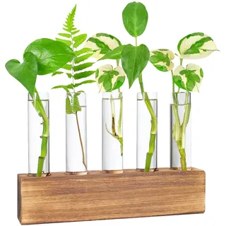 Hwtcjx Reagenzgläser Blumenvase, Kleine Reagenzglas Vase mit Ständer Holz, Propagation Station, Modern Vasen Deko Set für Hydrokultur Pflanzen, Tisch Hause Büro Wohnzimmer Küche Deko (5 Flaschen)
