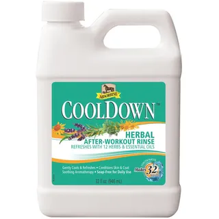 Absorbine Cool Down Waschlotion 946 ml