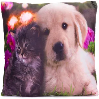 Dekokissen Katze + Hund 38x38 cm Kuschelkissen beleuchtet 2 LED Cat & Dog | Sofakissen Zierkissen Bezug mit Füllung Couchkissen Katzenkind Hunde Welpe