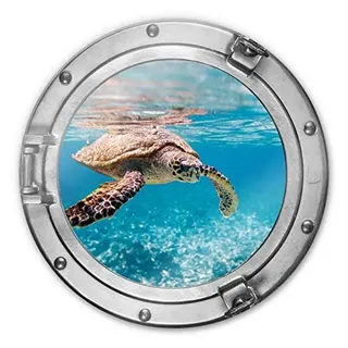 K&L Wall Art Schildkröte auf Reisen Glasbild rund Wohnzimmer Badezimmer Wandbild aus Glas Wanddeko 30x30cm