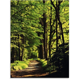 Glasbild ARTLAND "Weg im Wald" Bilder Gr. B/H: 60 cm x 80 cm, Wald, 1 St., grün Glasbilder