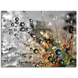 Wandbild ARTLAND "Farbenfrohe Natur", bunt (farbe bild(er): bunt), B:120cm H:90cm, Bilder, als Alubild, Leinwandbild, Poster in verschied. Größen