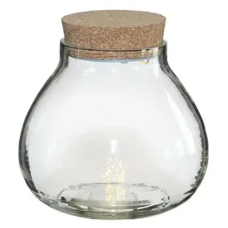 Ideas4seasons Glastopf/Vase fur Pflanzenokosystem - Deckel mit LED-Beleuchtung - 15 x 14 cm