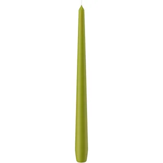 Wiedemann Kerzen Spitzkerzen, Grün, Paraffin, 2.5x30x30 cm, Dekoration, Kerzen & Zubehör