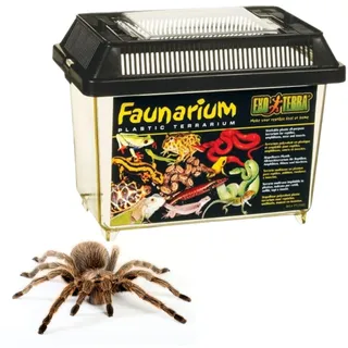 Exo Terra Allzweck-Terrarium Faunarium 23 cm x 15,5 cm x 16,5 cm