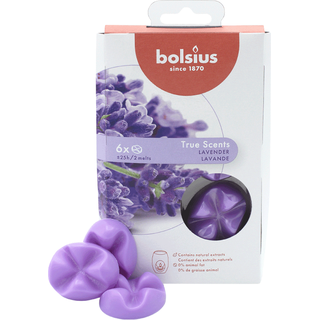 TRUE SCENTS WAX MELTS, Lavender, Lavendel, Duftschmelzblüten von BOLSIUS, Duftdauer ca. 25h, 6 Stück pro Verpackung, Raumduft