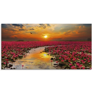Glasbilder Wandbild Glas Bild einteilig 100x50 cm Querformat Natur Landschaft See Blumen Blüten Seerose Sonne Sonnenuntergang T9IA ARTland