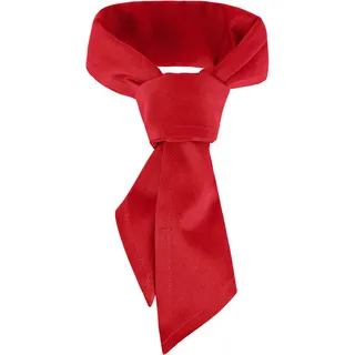DESERMO Gastro Dreieckstuch 120x80cm | Hochwertiges Profi Halstuch aus dickem Mischgewebe (65% Polyester / 35% Baumwolle) | Berufsmode mit großer Farbauswahl | Schweisstuch mit hohem Stoffgewicht - 10er Set