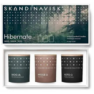 SKANDINAVISK Duftkerze HIBERNATE grün