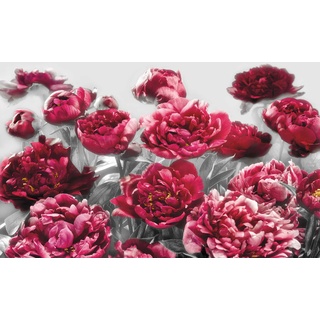 KOMAR Vliestapete "Temptation" Tapeten Gr. B/L: 400 m x 260 m, Rollen: 1 St., bunt (bunt, grau, pink) Blumentapeten