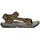dark olive/desert palm 43