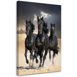 Feeby Schwarze Pferde Galoppieren Natur Leinwand 20x30 cm