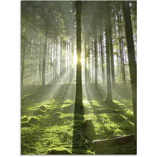Glasbild ARTLAND "Wald im Gegenlicht" Bilder Gr. B/H: 60 cm x 80 cm, Wald, 1 St., grün Glasbilder in verschiedenen Größen