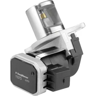 BorgWarner (Wahler) Borgwarner AGR-Ventil 7527D für Mercedes