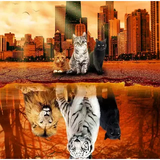 Puzzle 1000 Teile Puzzles für Erwachsene, Katze, Tiger, Puzzle, Tier, Spielzeug für Erwachsene, 27 x 20 cm, einzigartig, schwierig und herausfordernd, großes Puzzle-Spiel, Spielzeug, Geschenk