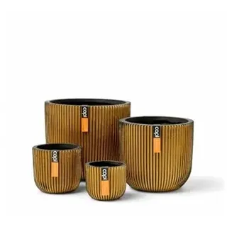 Capi Europe - Mix Box Blumentopf Kugel Groove Gold - Gold - Blumentöpfe für den Innenbereich - Geschenkset
