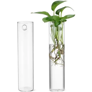 2 Stück Wandvasen aus Glas, Zylindrisch, Klar, für Wandmontage | Wandvasen Glas, Terrarium Pflanzenhalter, Wandmontierte Blumenröhrenvase, Klare Vasen