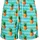 Swim Short Türkis